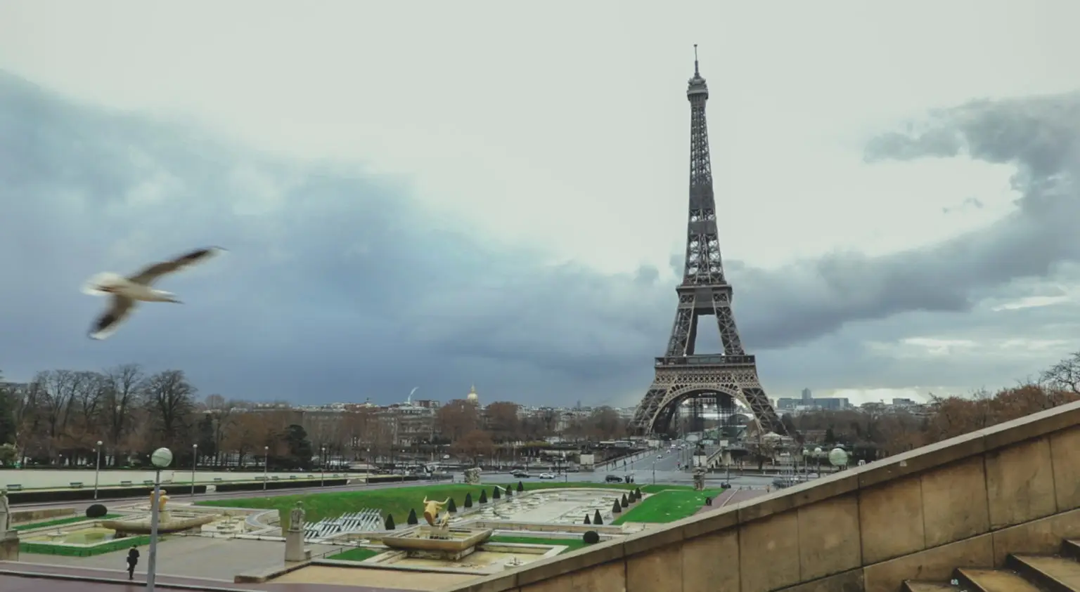 tour Eiffel tournage Wildbee
